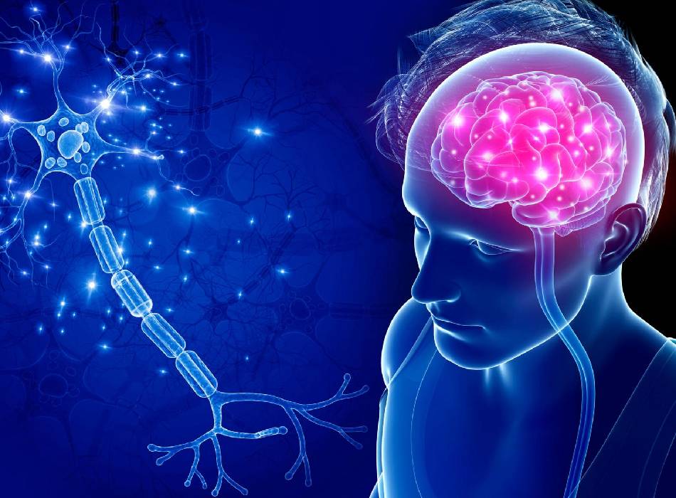 Memory & Neuro Health